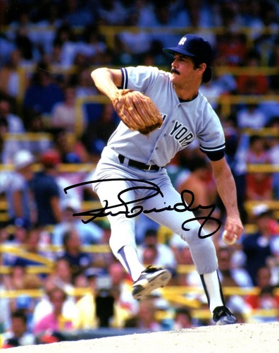 New york yankees ron - new,