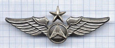 Pin's double attaches ailes US CIVIL AIR PATROL PILOT WINGS / armée militaire