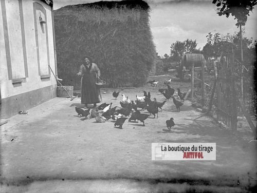 Basse cour ferme - à,