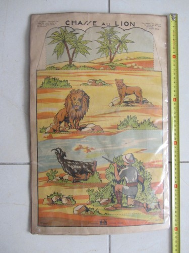 Affiche chasse lion - affiche, la