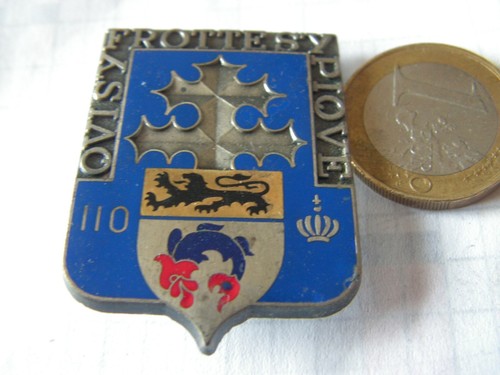 Insigne 110 eme regiment - ,