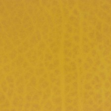 Morceau de cuir de collet