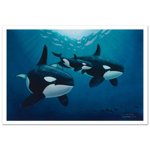 Wyland orca appelant - orca,