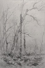 NOIROT Sous-bois à Marcenat