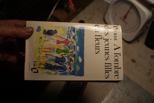 Livre poche l ombre des - de,