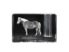 Haflinger Poulain - Porte