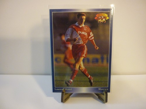 Carte foot panini official - foot,