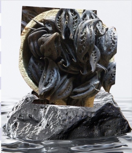 Graines griffes lion - graines,