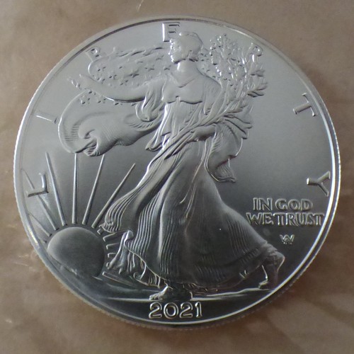 Silver eagle 2021 type - us,