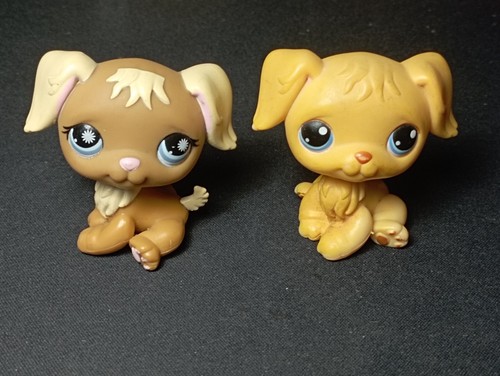 Lot littles petshop - petshop, hasbro