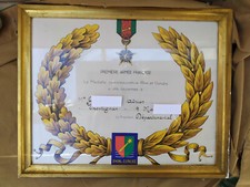 Diplome de la médaille " Rhin et Danube " 1ere Armée française