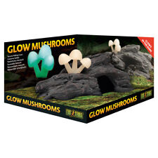 Exo Terra Glow Champignons - Cachette Naturelle Pour Terrarium, Lumineux, 9 Cm