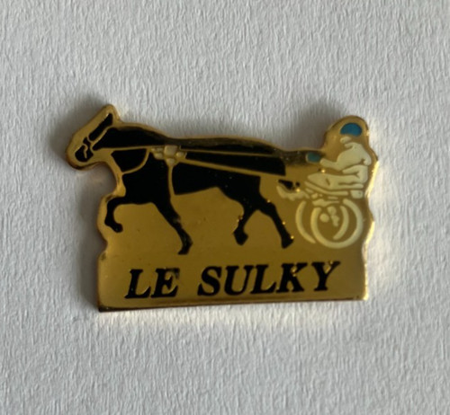 Pin s cheval - - , pin's