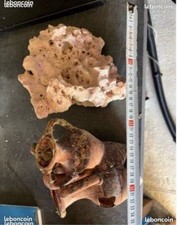 Lot 2 déco aquarium – roche naturelle + amphore décorative vintage – Aquarium