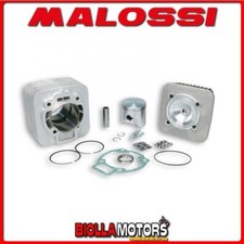 318237 CYLINDRE KIT MALOSSI