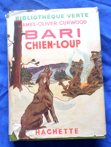 Bari chien loup - bari, chien-loup