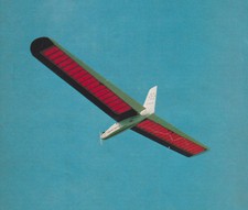 Géant Standard Plank Planeur