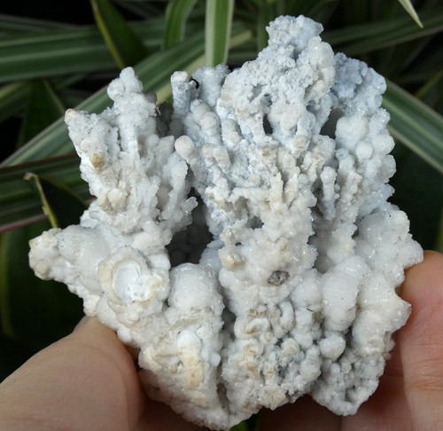 Rare aragonite bleuté lavrion - aragonite,