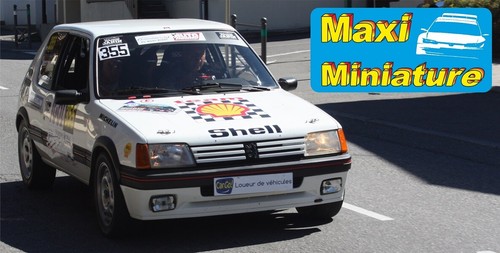 Décals 43e peugeot - 205, gti