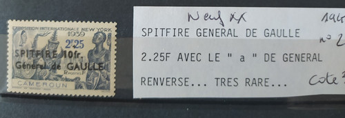 Cameroun variété spitfire - variété,