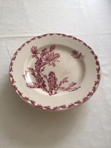 Terre fer ancienne assiette - terre, de
