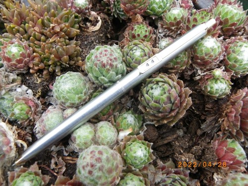 Superbe stylo bille paper mate - superbe,