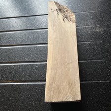 Bois De Noisetier Tournage