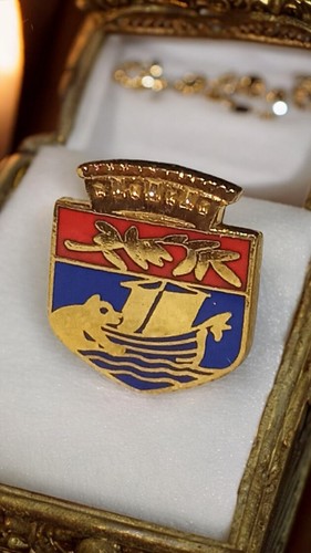 Pin vintage blason - vintage,