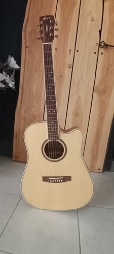 Guitare electro acoustique - electro,