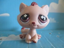 PETSHOP CHAT DE GOUTTIERE SANS