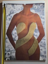 Calendrier pirelli - (cal3),