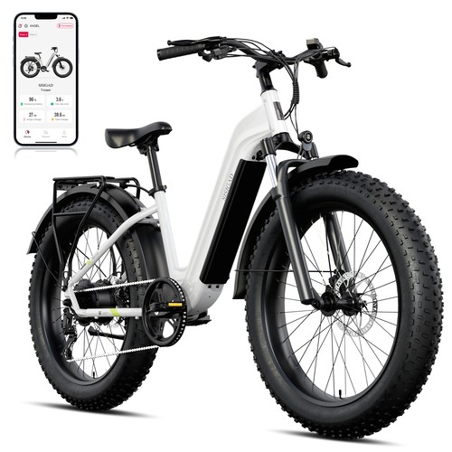 New fat tire electric bike - new,