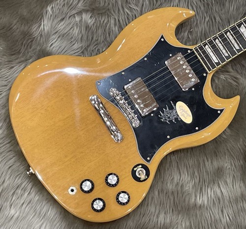 Epiphone std 22f - std,