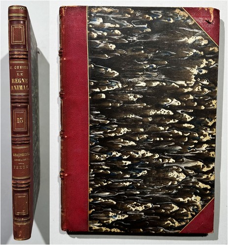 Georges cuvier le regne - le,