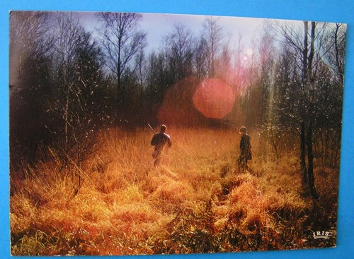 Carte postale plaisir la - plaisir, de