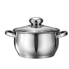 Swisgold Marmite Inox 24cm
