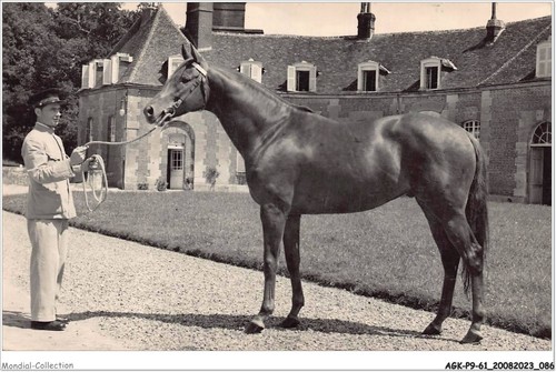 Agkp9 0777 haras pin - du,