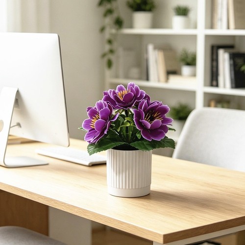 Plante marguerite artificielle