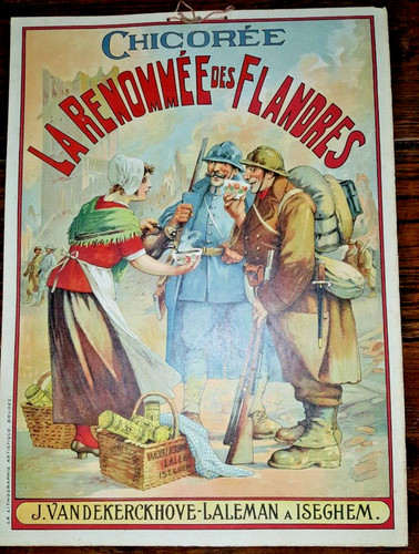 Chicorée renommée des - "chicorée, la