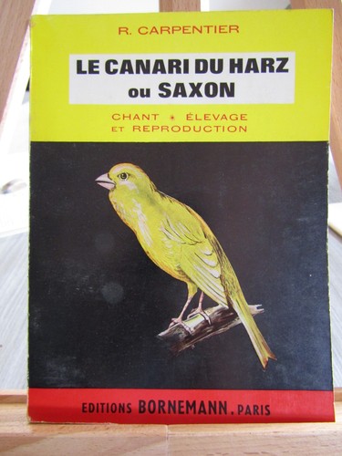 Canari harz saxon - du,