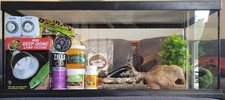 leopard gecko FULL kit (READ
