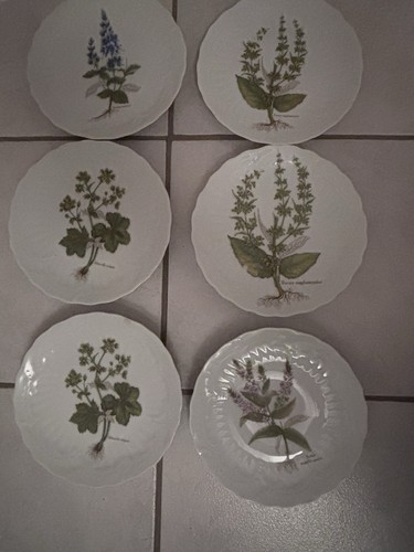 Lot porcelaine de - s, en
