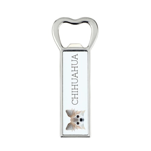 Chihuahua poil long - poil,
