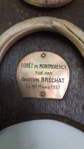 Lot anciens trophees de - d'anciens,