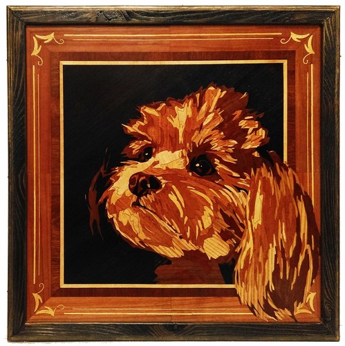 Shih tzu chien personnalisé - shih,