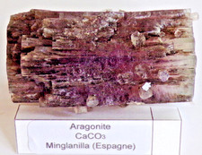 CEeb1, 95g,Top Aragonite
