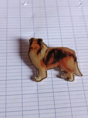 Pin chien colley - ,