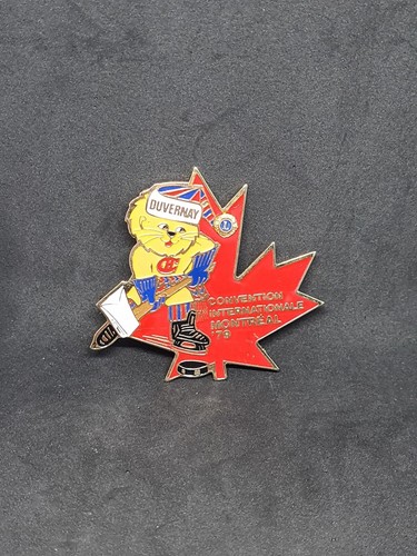 Broche epingle pins convention