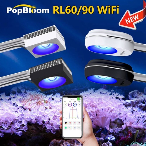 Popbloom rampe led pour - popbloom,