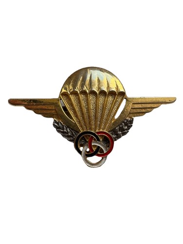 Insigne militaire brevet - insigne,